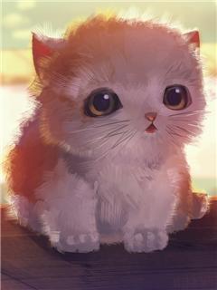 超萌可爱的小猫咪手机图